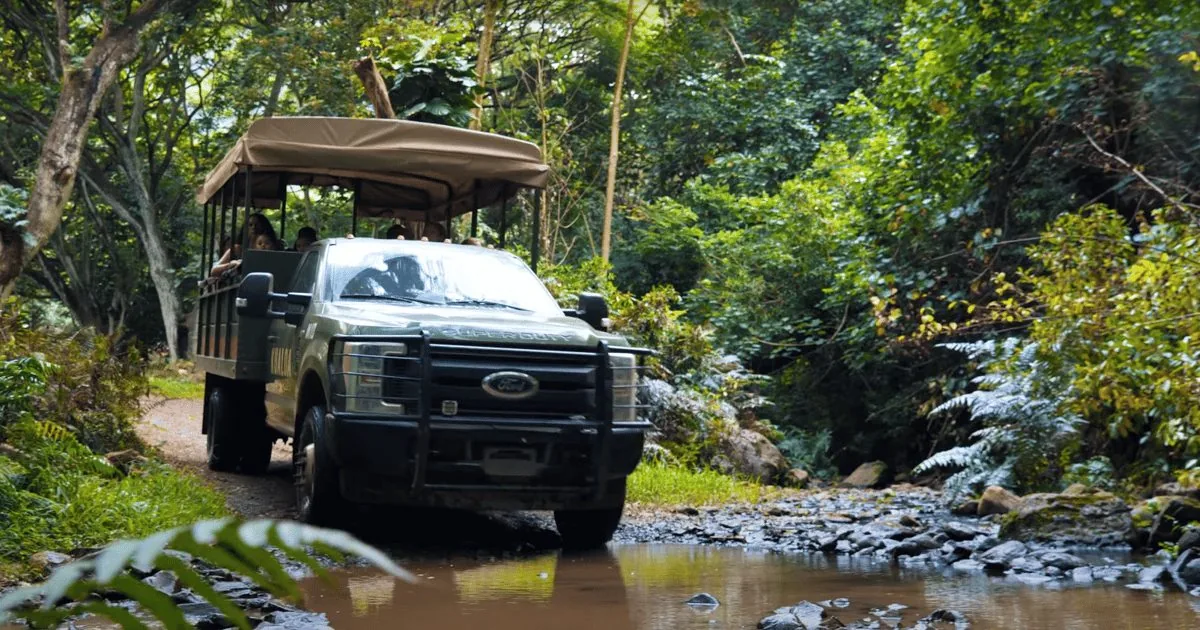 Oahu: Kualoa Open Air Jungle Expedition Tour