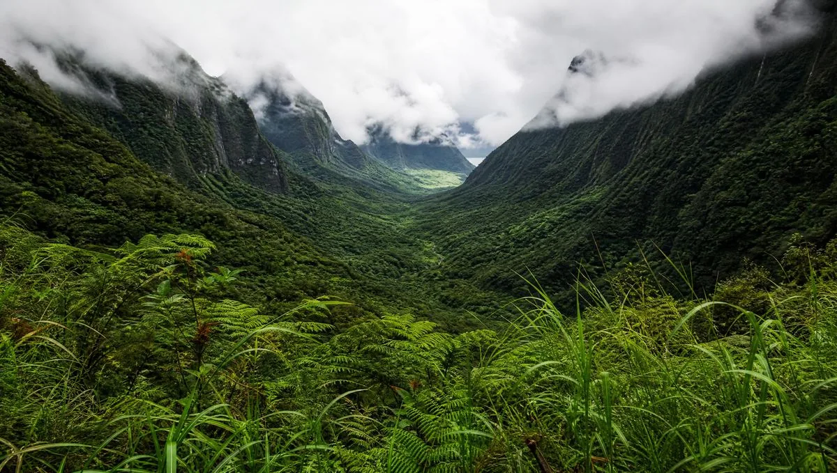 Kaʻaʻawa Valley &mdash; the &lsquo;Jurassic Valley&rsquo; film site